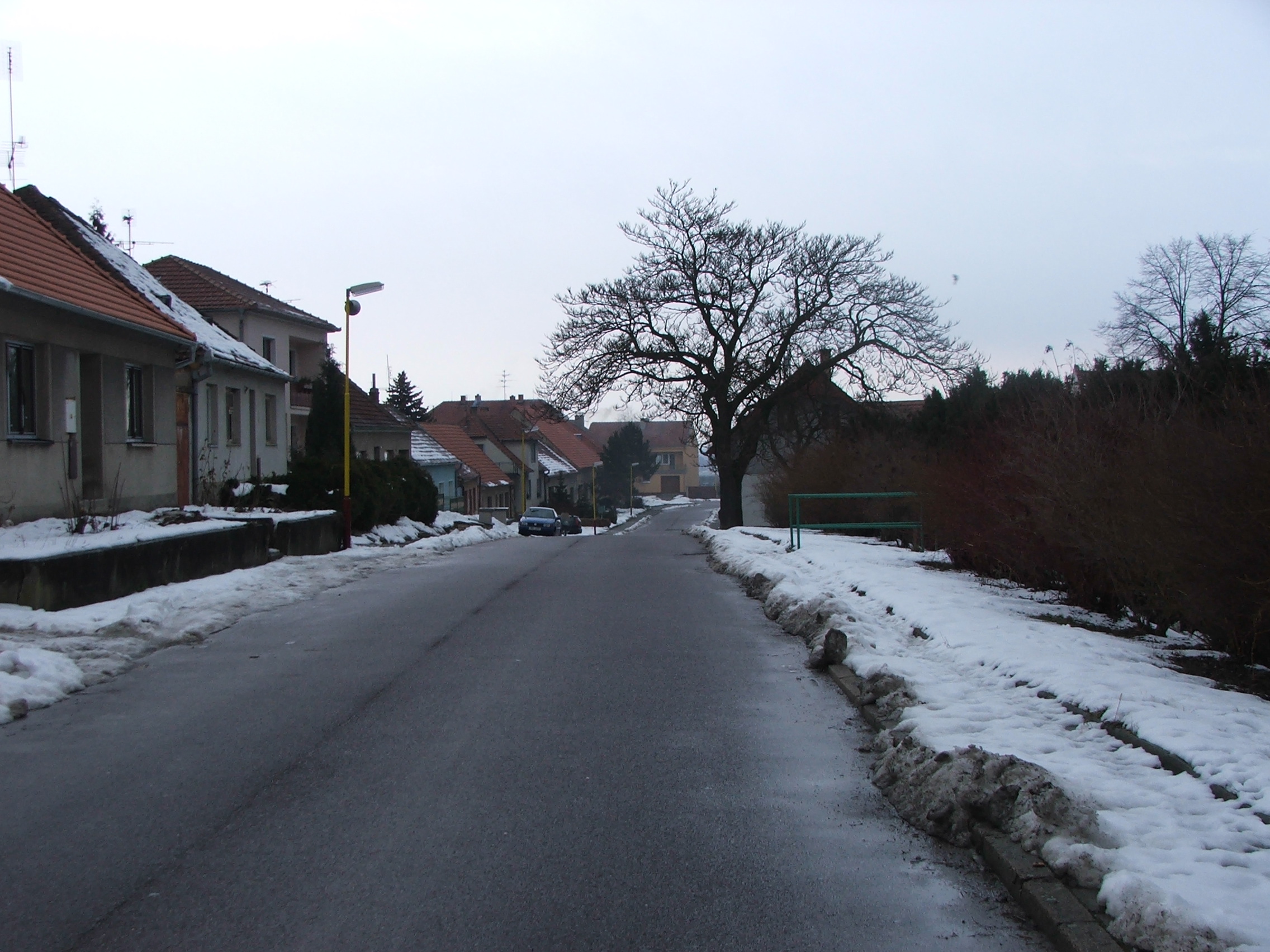 DSCF0191.JPG