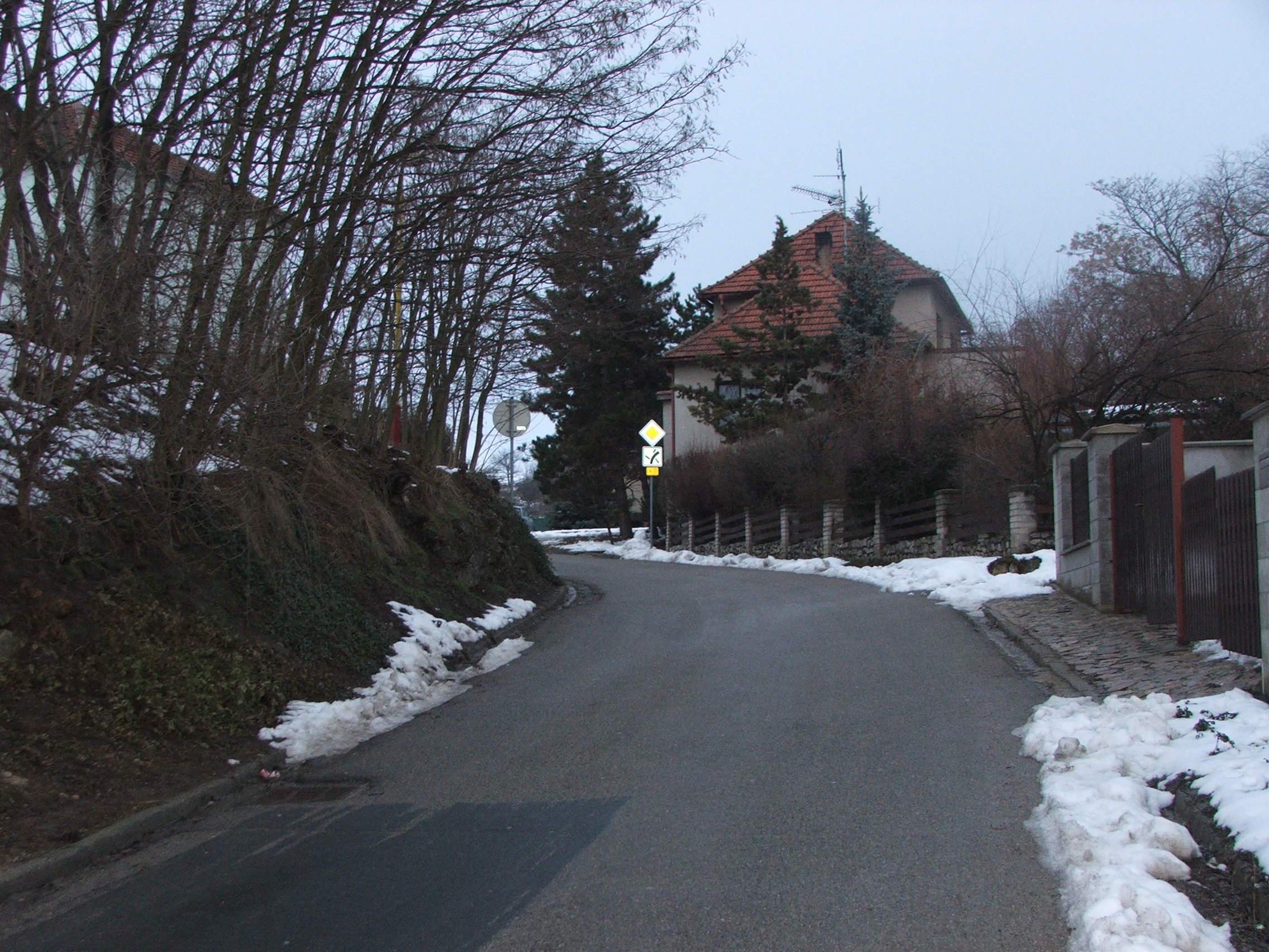 DSCF0205.JPG