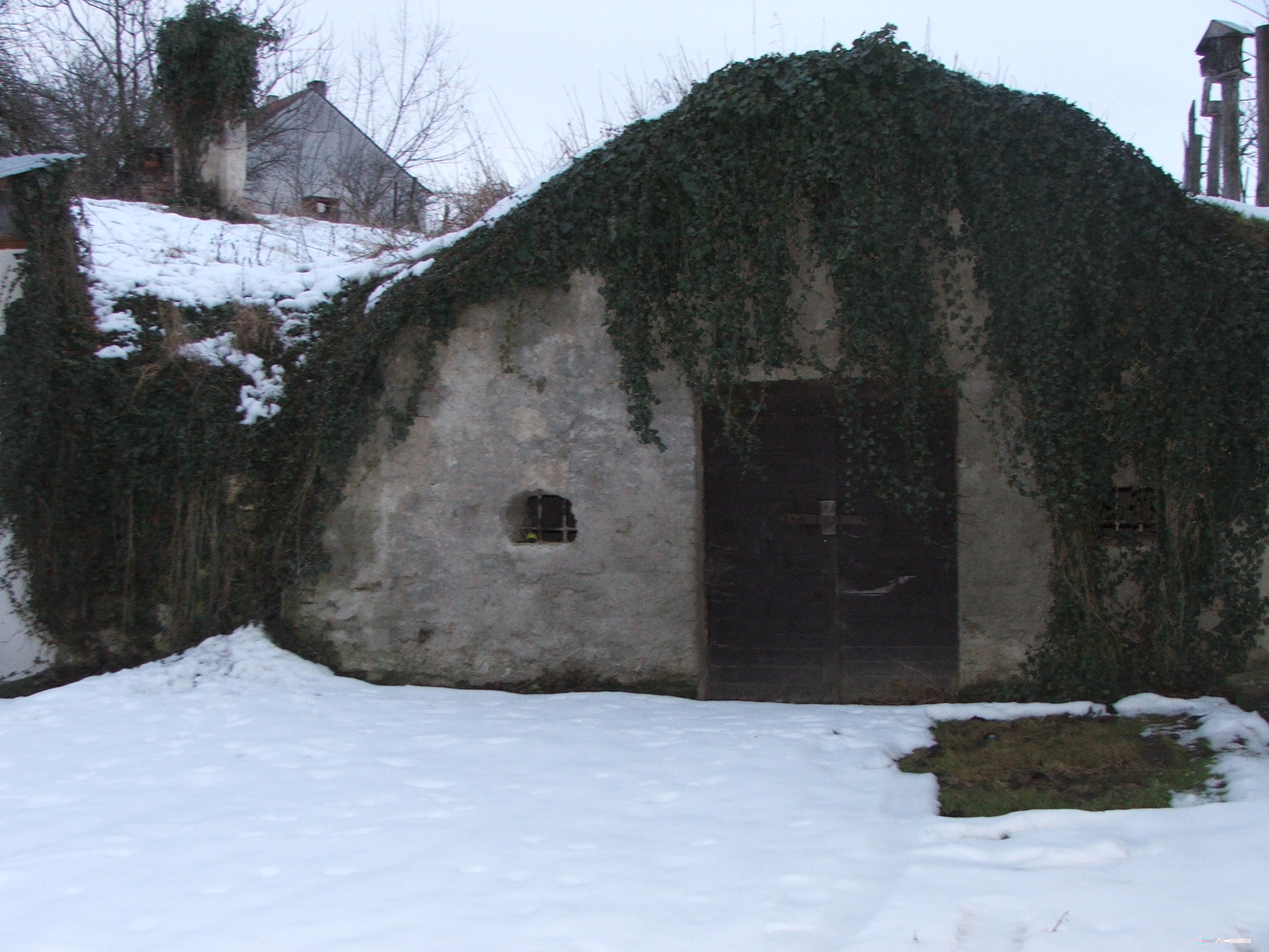 DSCF0211.JPG