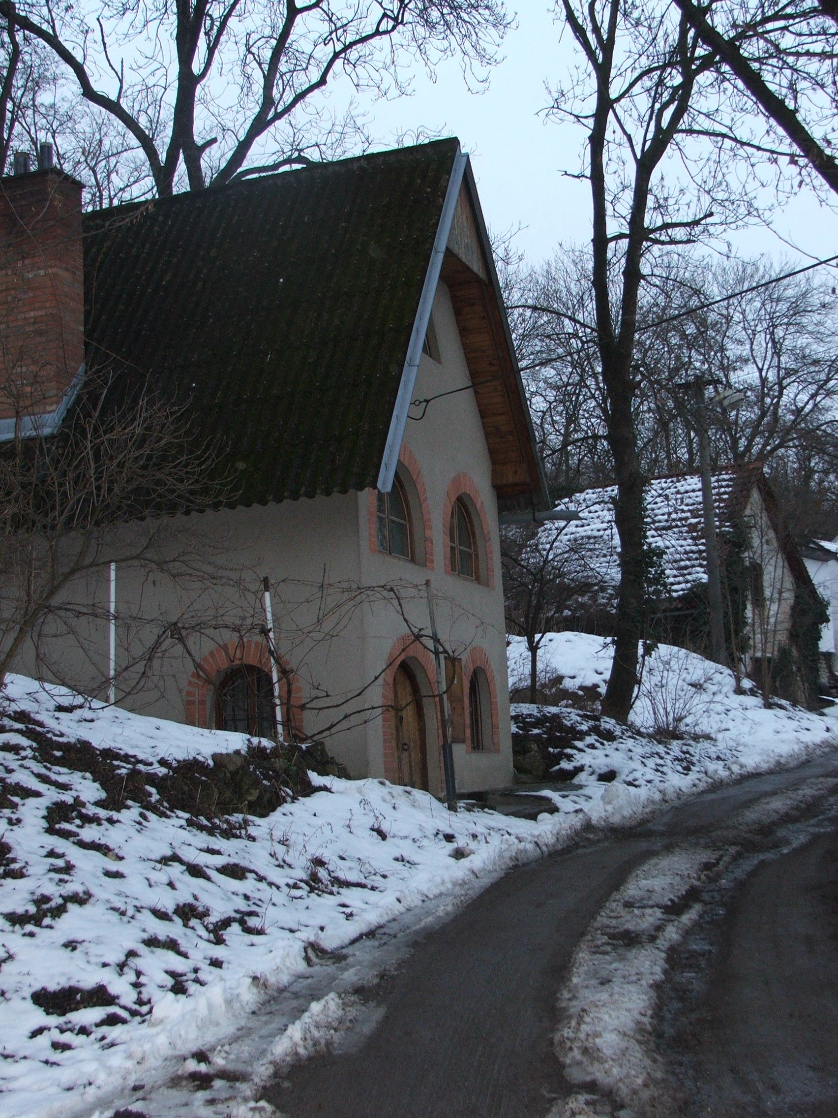 DSCF0221.JPG