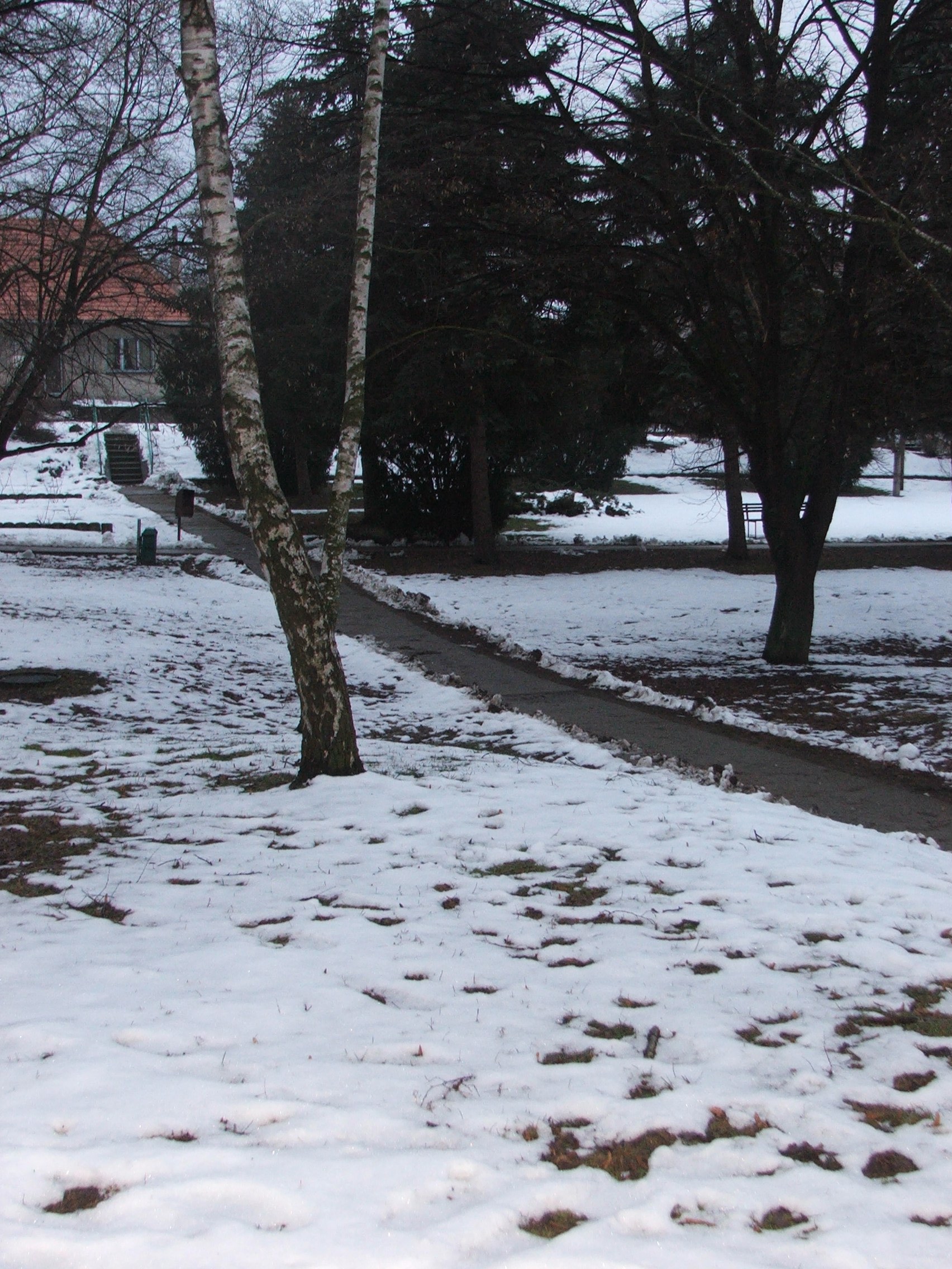 DSCF0225.JPG
