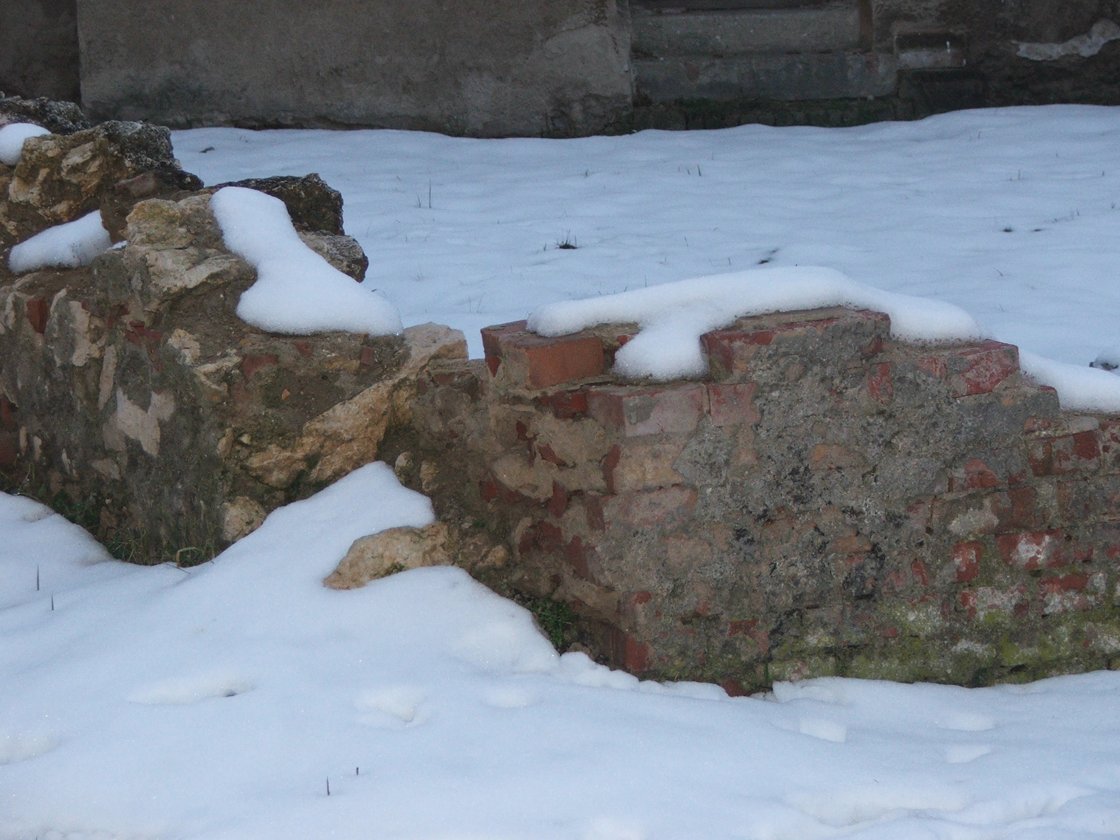 DSCF0234.JPG